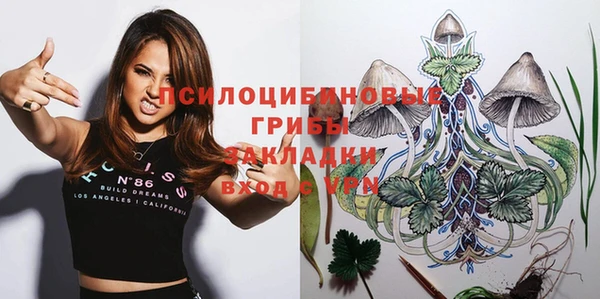 мет Богданович