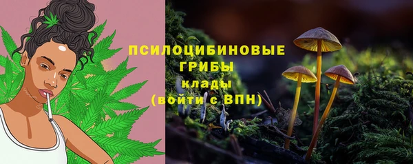 мет Богданович