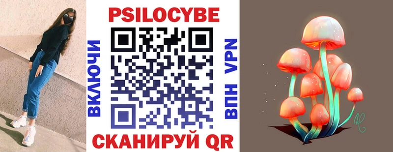 Купить закладки  Новоалександровск  Галлюциногенные грибы Cubensis 